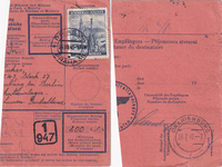 picture of item a0095