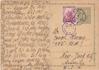 picture of item a0191