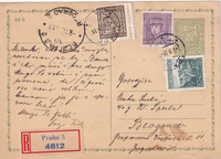 picture of item a0193