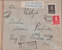 picture of item a0295
