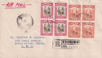 picture of item a1567