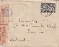 picture of item a1902