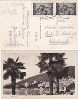 picture of item b0099