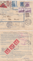 picture of item b0249