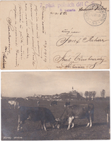 picture of item b0390
