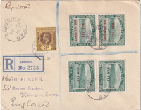 picture of item b1077