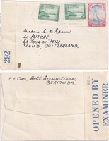 picture of item b1119