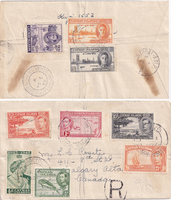 picture of item b1137