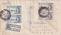 picture of item b1142