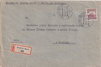 picture of item b1254