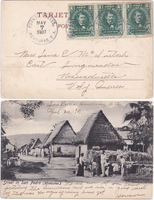 picture of item b1263