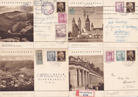 picture of item b1295