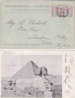 picture of item b1313