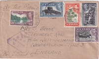 picture of item b1354