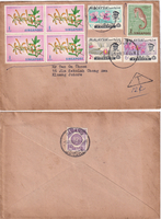 picture of item b1379