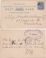 picture of item b1454