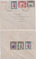 picture of item b1537