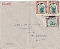 picture of item b1538