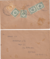 picture of item b1556