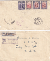 picture of item b1569