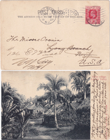 picture of item b1651