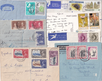 picture of item b1681
