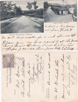 picture of item b1776
