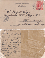picture of item b1851