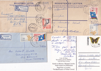 picture of item b1884