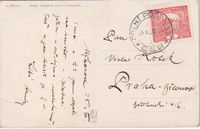 picture of item b1907