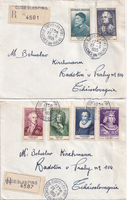 picture of item b1921