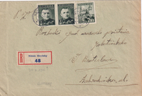 picture of item b2163