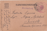 picture of item b2175