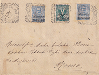 picture of item b2231