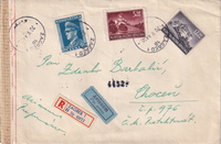 picture of item b2446