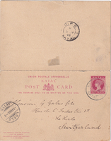 picture of item b2450