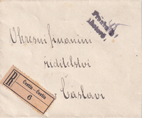 picture of item b2455