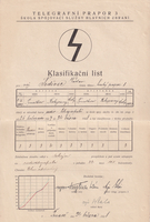picture of item b2524