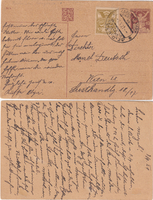 picture of item b2544