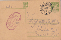 picture of item b2549