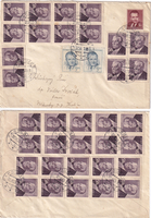 picture of item b2587