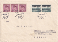 picture of item b2598