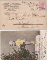 picture of item b2617