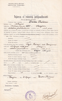 picture of item b2781