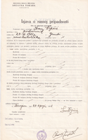 picture of item b2782