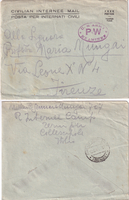 picture of item b2823