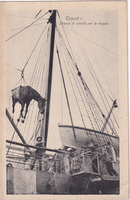 picture of item b2844