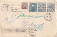 picture of item b2865