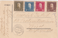 picture of item b2872