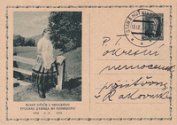 picture of item b2903
